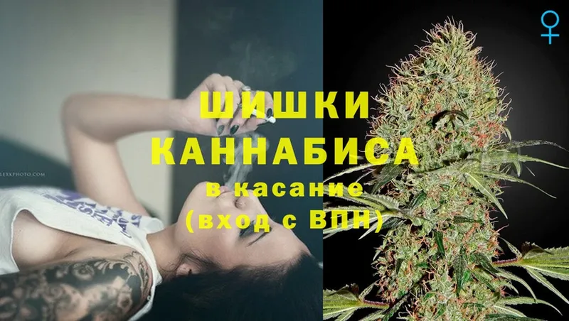 купить  цена  Тайга  Шишки марихуана SATIVA & INDICA 